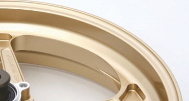 Type-GP1S for Kawasaki