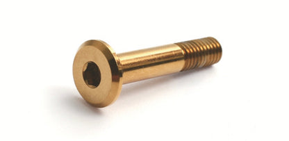 Pivot pin Ti plated
