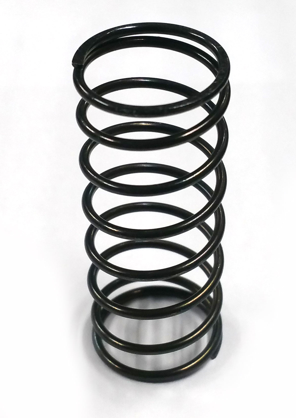 Rear master spring