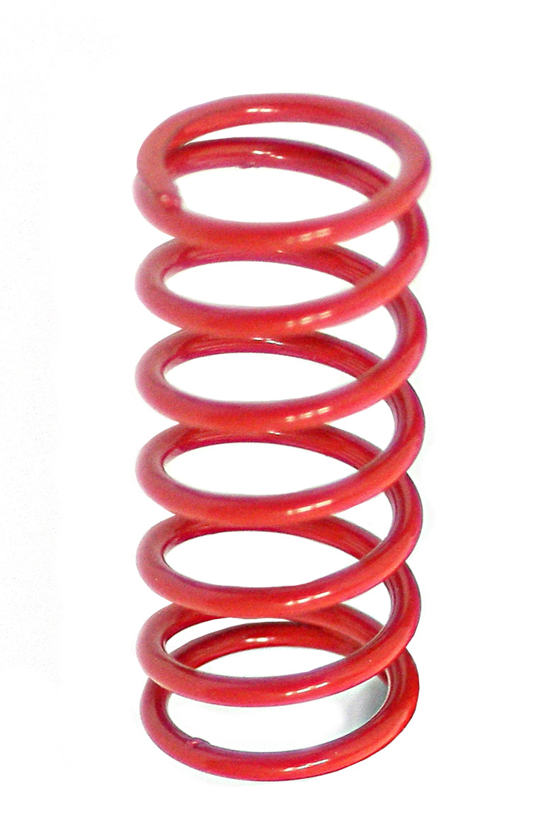 Rear master spring